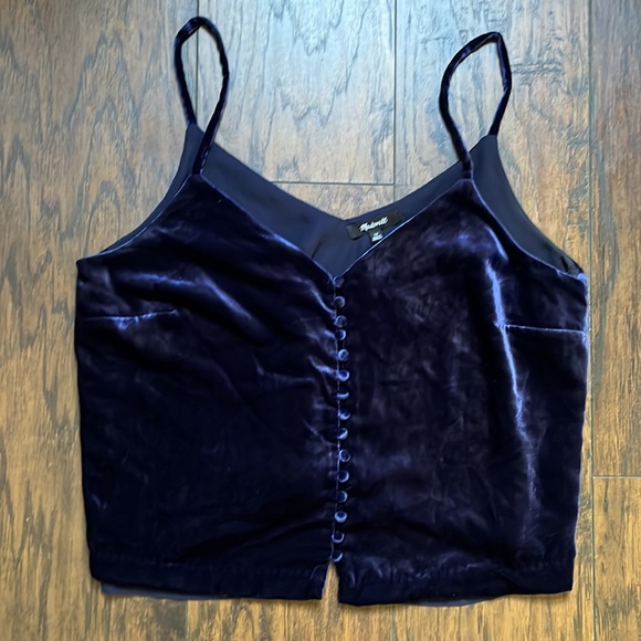 Madewell Blue Velvet Button Down Tank - Picture 2 of 9